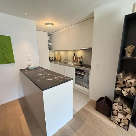 Apartment Sleek Mountain Escape, Light And Airy Flims